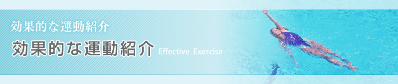 効果的な運動紹介:効果的な運動紹介